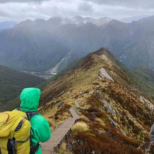 Kepler Track – Great Walk